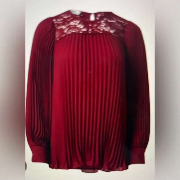 Weill Bergundy Pleated Lace blouse
Size 6 - Picture 13 of 13